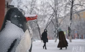 «Снегопадом и ветром повреждены кровли»: в районе Хабаровского края ввели режим ЧС