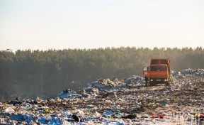 Жителей кузбасского города возмутил вывезенный в лес строительный мусор
