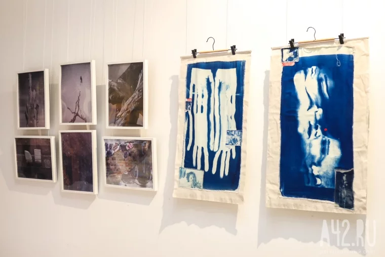 Фото: Выход за рамки: в Кемерове открылась выставка современного искусства «Периферия» 60