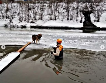 Фото: Кузбассовцы спасли собаку на льдине 2