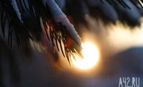 Синоптики спрогнозировали погоду на 1 февраля в Кузбассе