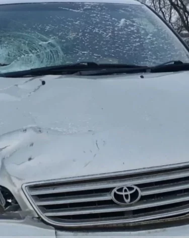 Смерть женщины под колёсами иномарки в Белове прокомментировали в полиции