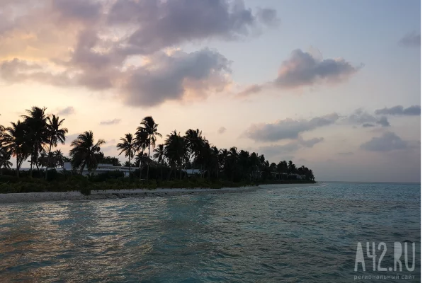 Россия объявила в розыск арестованного в Таиланде 35-летнего «хакера мирового класса»