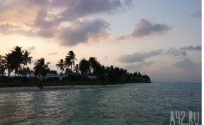 Россия объявила в розыск арестованного в Таиланде 35-летнего «хакера мирового класса»