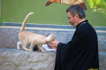 Фото: В Подмосковье отслужили молебен о бездомных животных 1