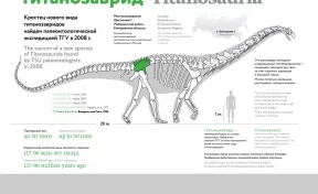 Гигантский динозавр из Кузбасса станет звездой «Ночи в музее» в Томске