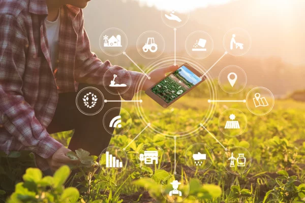 Агротехнологии опережающего развития могут повысить рентабельность растениеводства более чем на 21% — РСХБ