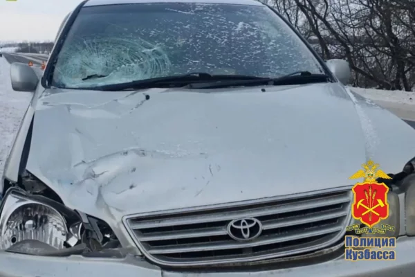 Смерть женщины под колёсами иномарки в Белове прокомментировали в полиции