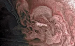 NASA опубликовало снимок розовой бури на Юпитере
