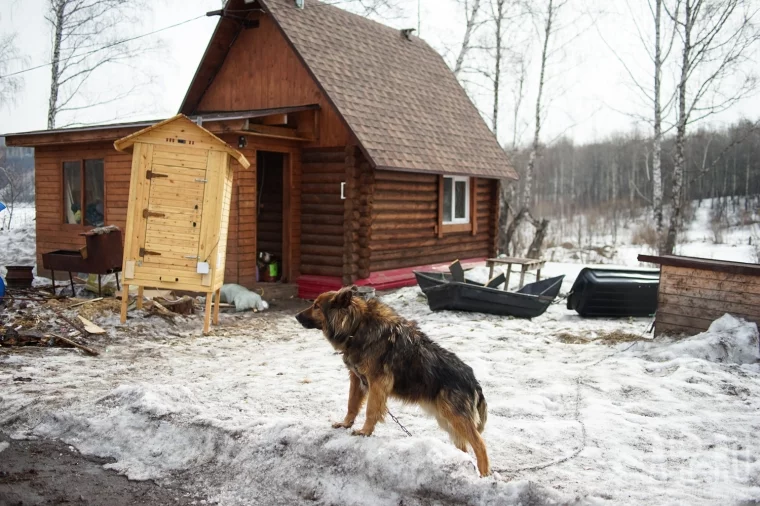 Фото: Перестрелки с охотниками и медведи: как переехать жить в лес у озера за 500 000 рублей 3