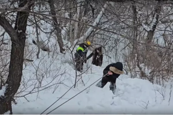 В Кемерове спасли 3 детей, оказавшихся у реки во время прогулки 