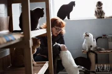 Фото: Учёные: собаки и кошки заговорят со своими хозяевами через 10 лет 1