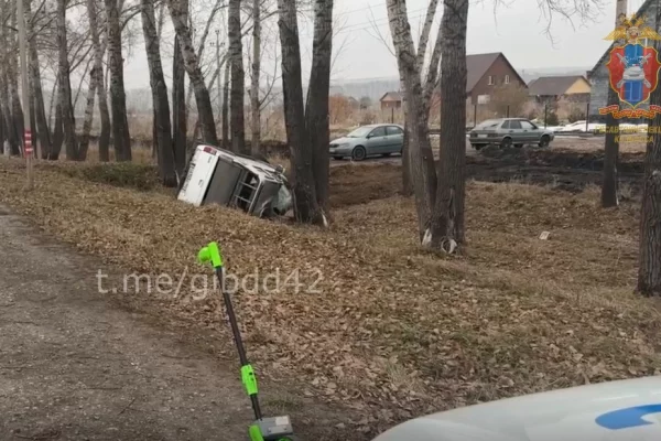 В Кузбассе пикап врезался в дерево и опрокинулся: водитель погиб