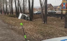 В Кузбассе пикап врезался в дерево и опрокинулся: водитель погиб
