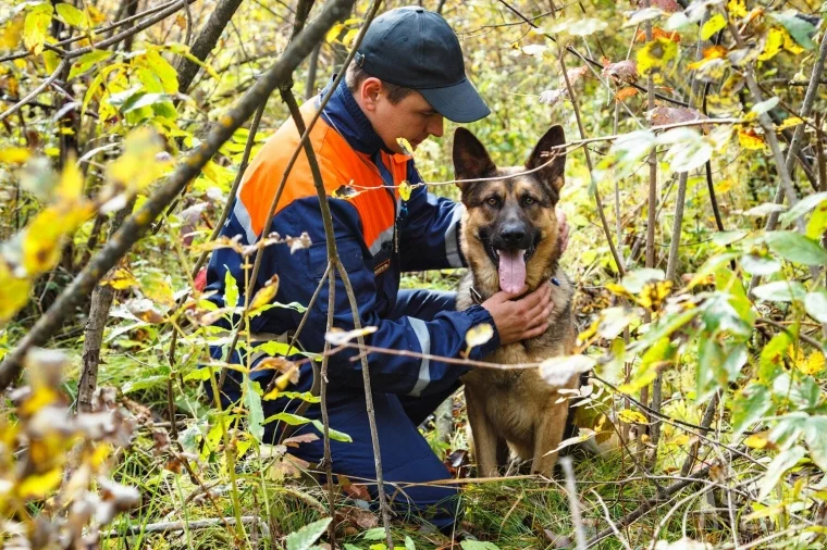 Фото: Ушёл и не вернулся: как искать людей в лесу с помощью бензопилы 5