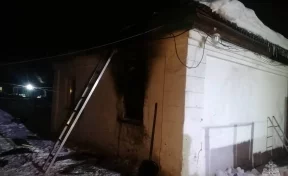 В Кузбасса на пожаре спасли семью с 9 детьми