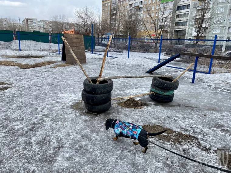Фото: Развалины и грязь. Как мы обходили площадки для выгула собак в Кемерове и Новокузнецке 77