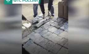 В порту Санкт-Петербурга обнаружили партию кокаина на 500 млн рублей под видом бананов 