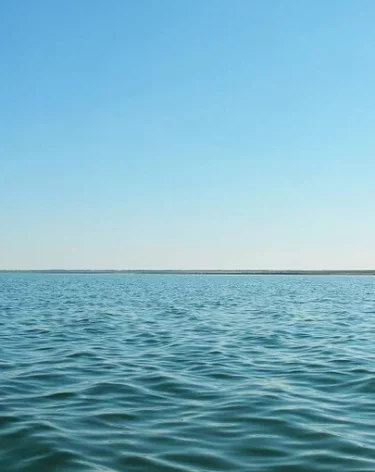 Косатки потопили французскую яхту с детьми