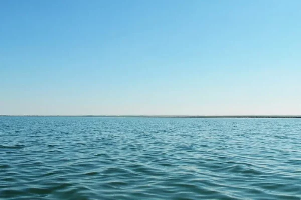 Косатки потопили французскую яхту с детьми