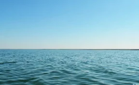 Косатки потопили французскую яхту с детьми