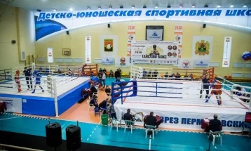 Фото: В Кузбассе выберут участников чемпионата России по тайскому боксу-2018 1
