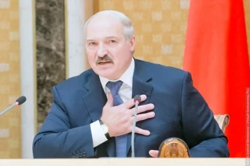 Фото: Лукашенко извинился перед Путиным из-за спора 1