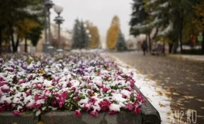 В Кузбассе зафиксировали 2-сантиметровый слой снега