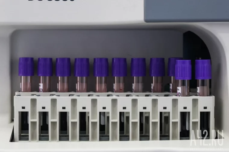 Фото: «И четвёртого родим!» 2