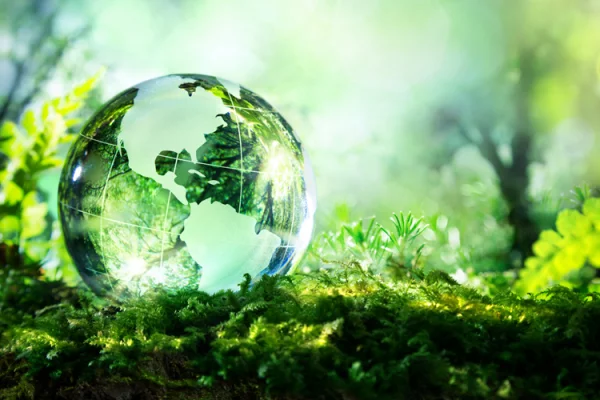 Вторая жизнь вещей: Фонд «Экология» РСХБ назвал главные технологические и потребительские тренды в рециклинге