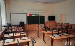 Все школы Кемерова отправили на внеплановые каникулы