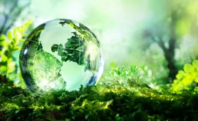 Вторая жизнь вещей: Фонд «Экология» РСХБ назвал главные технологические и потребительские тренды в рециклинге