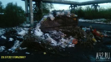 Фото: Кемеровчанина возмутили переполненные мусорные баки в частном секторе 1