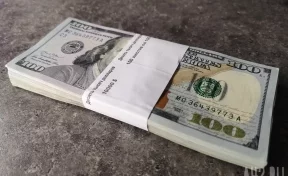 В Кузбассе 68-летняя учительница отдала мошенникам 25 тысяч долларов