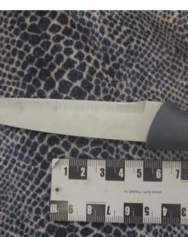 Кемеровчанка напала на мужа с ножом и ранила его 