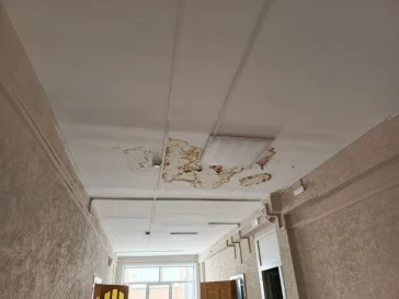 Фото: В Новокузнецке кровля затопленной во время дождей гимназии снова дала течь 2