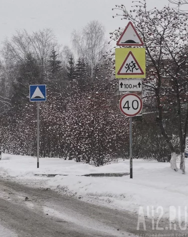 Фото: А42.RU