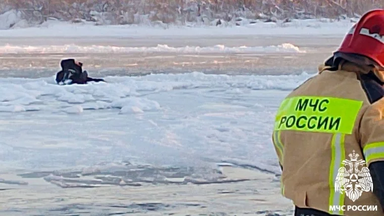 Фото: В Междуреченске спасатели помогли застрявшей на речном льду женщине 1