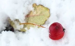 Синоптики рассказали о погоде в Кузбассе в конце рабочей недели