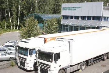 Фото: Кемеровская таможня пресекла контрабанду леса в Узбекистан на 1 млн рублей 1