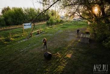 Фото: Собачья радость: тест площадок для выгула животных в Кемерове  24