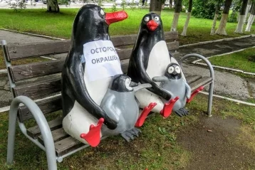 Фото: В Кемерово вернулись пингвины 1