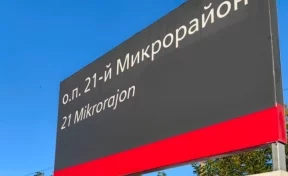 Новой остановкой электрички Кемерово — Тайга воспользовались почти 2 000 человек