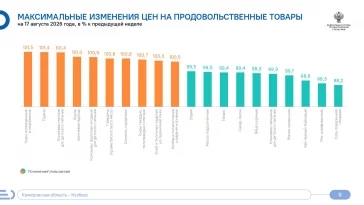 Инфографика: Кемеровостат