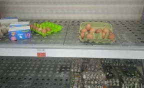 ФАС возбудила дело на две кузбасские птицефабрики из-за удержания высоких цен на яйца