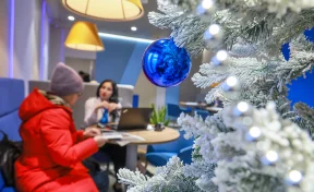 60% жителей Сибири заранее планируют сумму трат на новогодние подарки