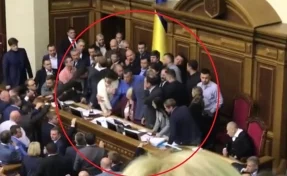 Драка депутатов из-за закона о Донбассе попала на видео
