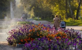 Бабье лето в действии: в Кузбассе на неделе потеплеет до +28