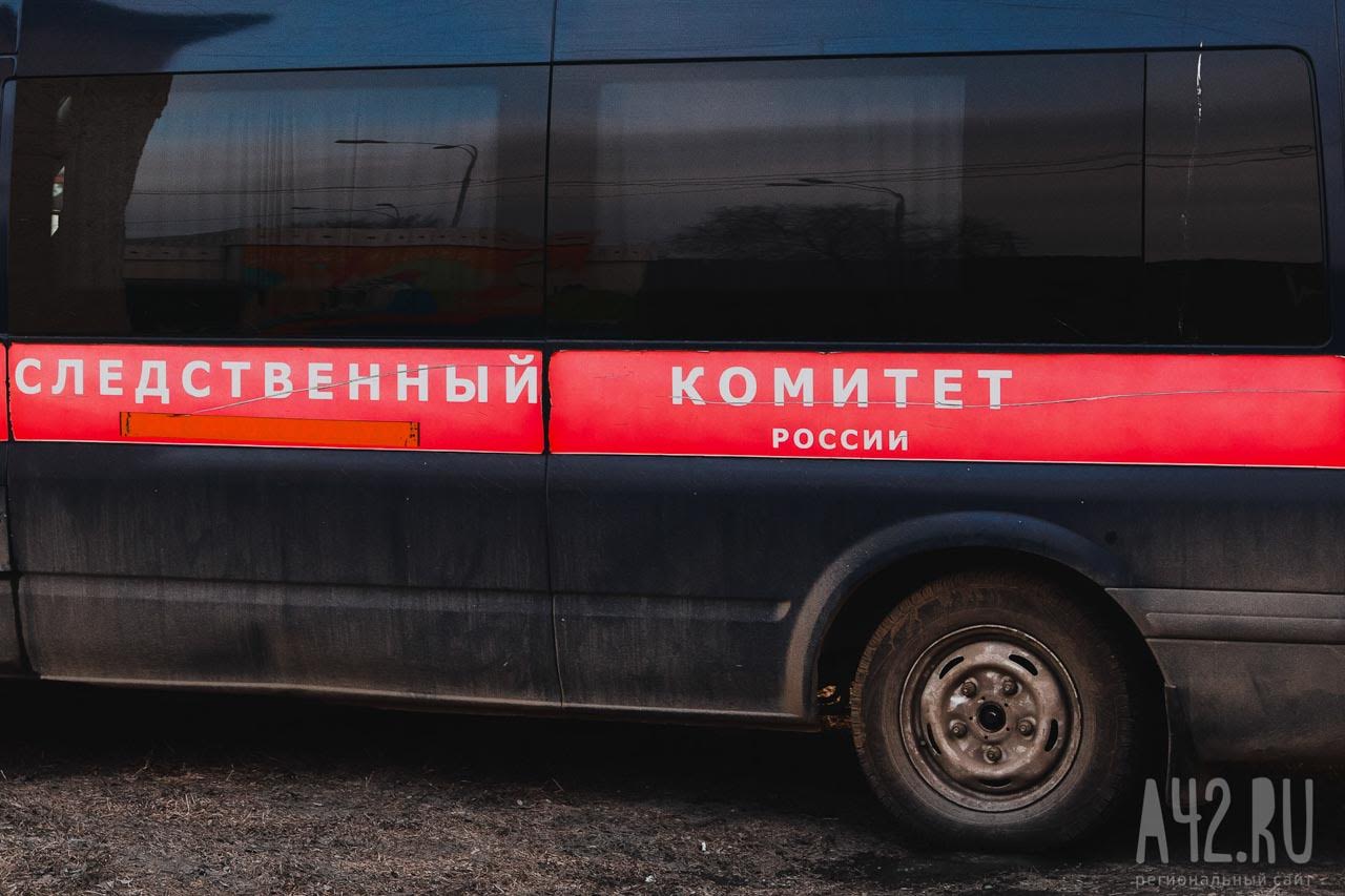 СК начал проверку после нападения собак на двух маленьких детей в Кузбассе