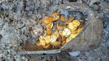 Фото: В Италии нашли клад из золотых монет на несколько миллионов евро 1